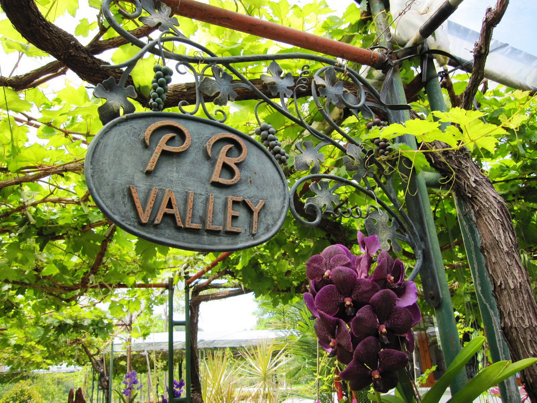 PBバレー・カオヤイ・ワイナリー　到着